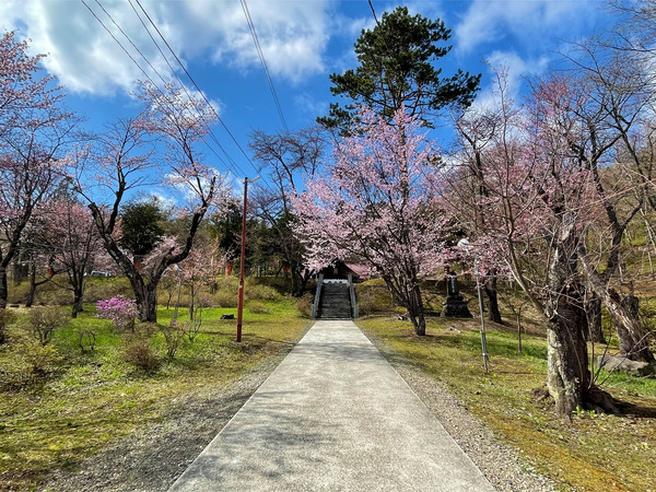 03新得神社桜