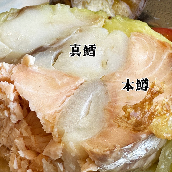 04こんな感じです