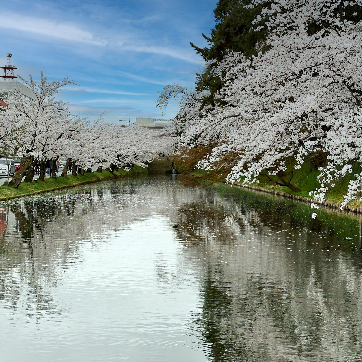 青森県弘前市観光 【昼の弘前公園編】 : tomakoのもぐもぐ