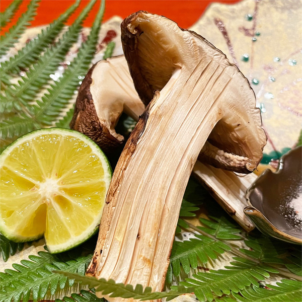 17焼き松茸(すだち、塩、加減正油)