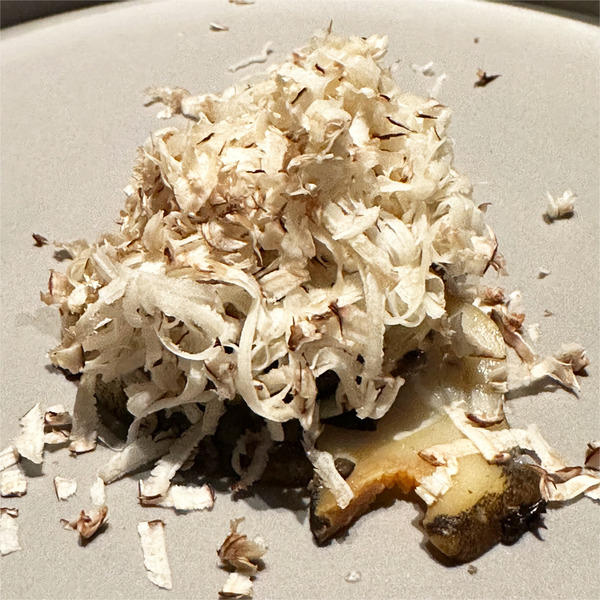 07つぶ貝ととかちマッシュを乳酸発酵させたもの