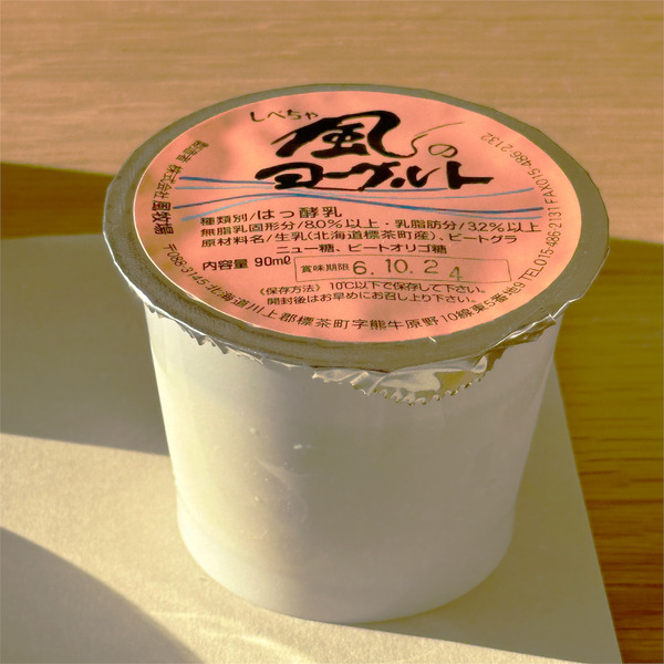 15セミバイキング6