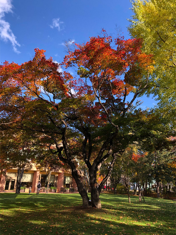 26ガーデンに出てちょっと散策