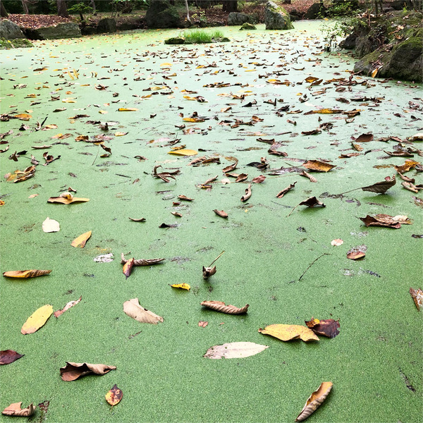 08間違えて歩いちゃいそーです 笑