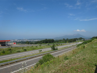 3624c529.jpg