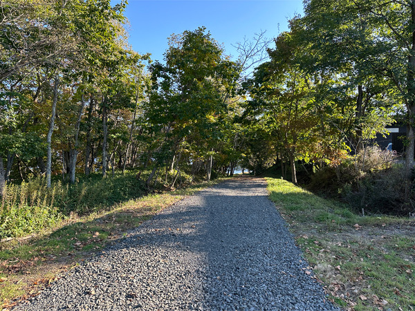 01長い坂を下って散歩します