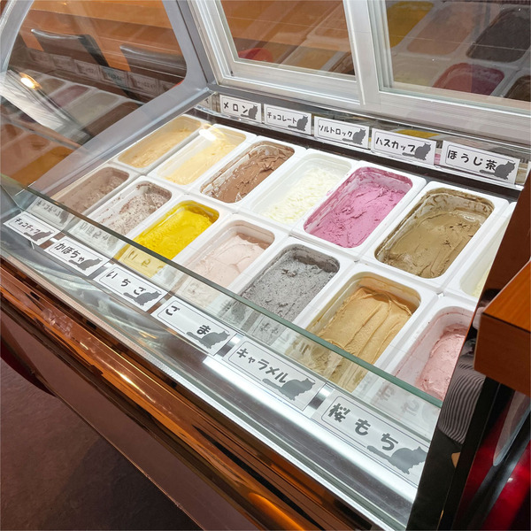 08ジェラートのショーケース