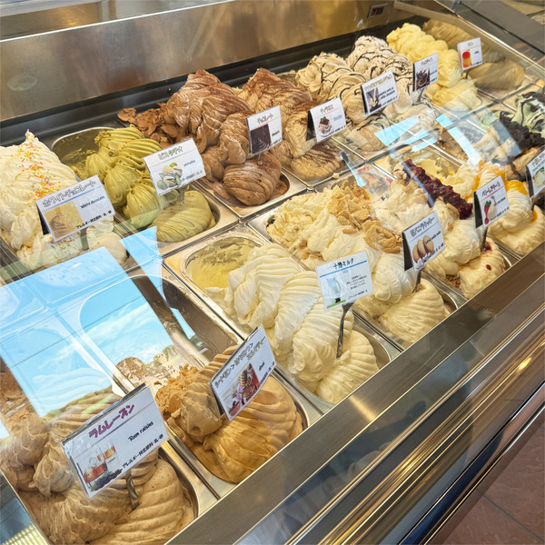 03ショーケース2