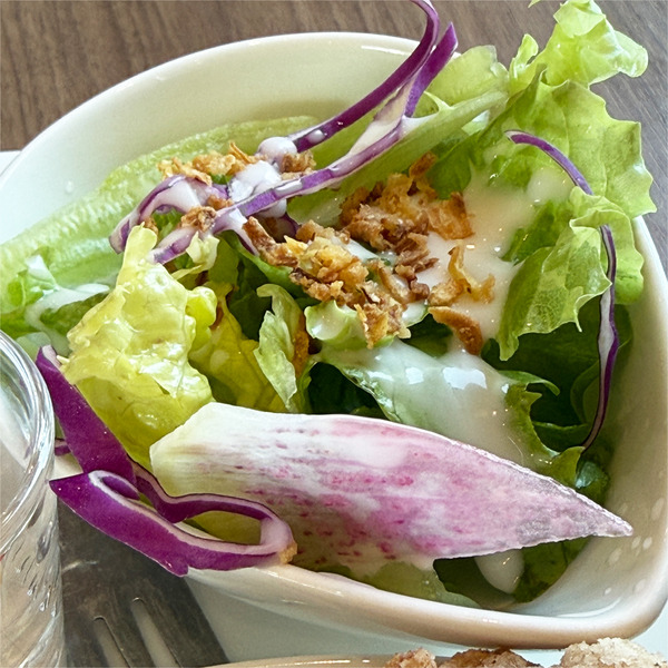 08カラフルサラダ