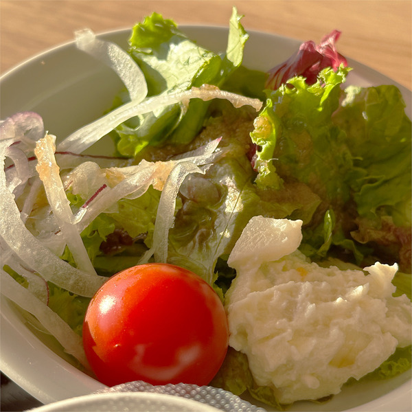 13セミバイキング4