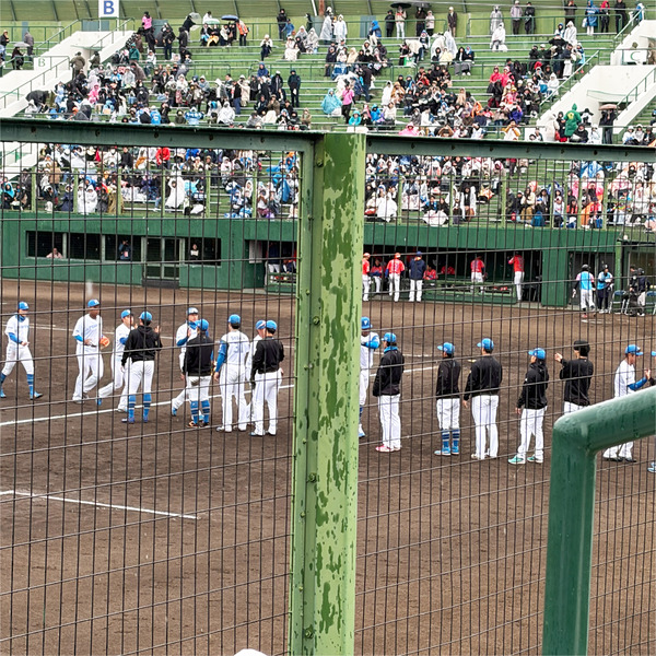 20快勝です