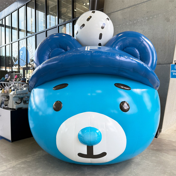 15おっきいえふたん