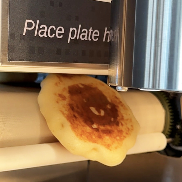 22焼かれながら出てきました