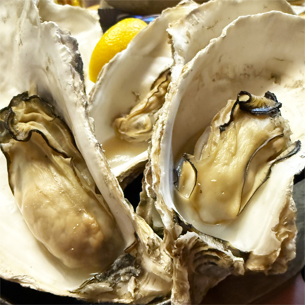 09国産蒸牡蠣