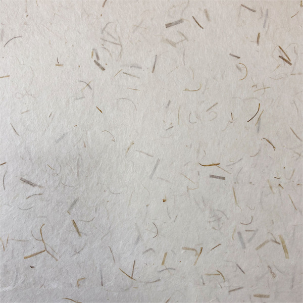 11ラワン蕗が練り込まれた和紙の壁