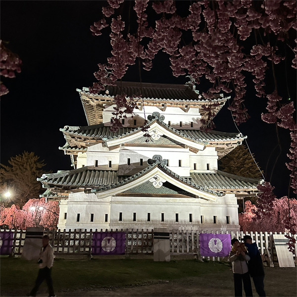 夜桜07
