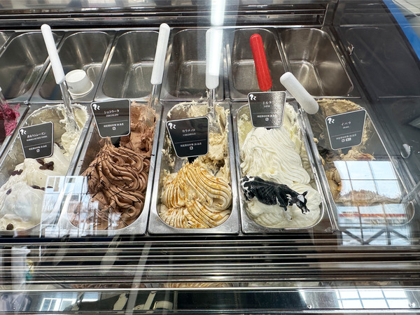 02本日のラインナップ1