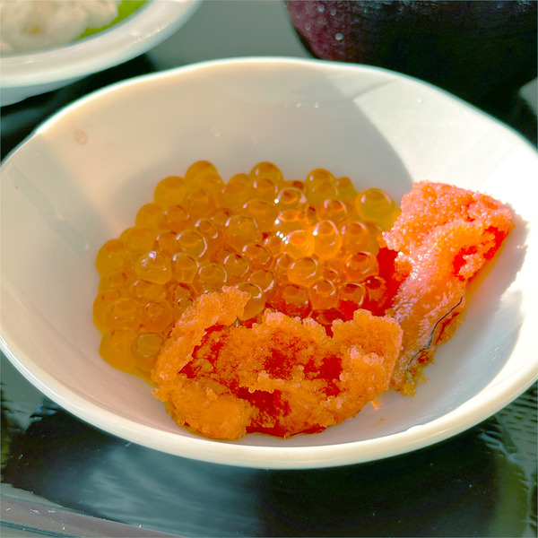 10セミバイキング1