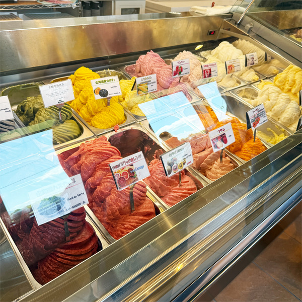 02ショーケース1