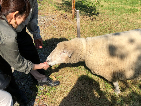 17どんぐり食べます
