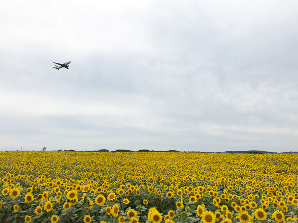 06_1340初ANAは9分遅れで離陸