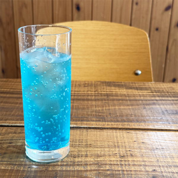 05ブルータートル(550円)