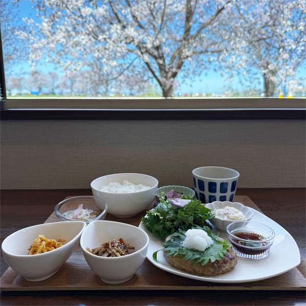 01日替わりさくら膳(1300円)