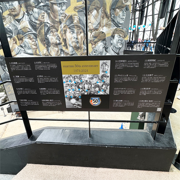 15ファイターズ50周年