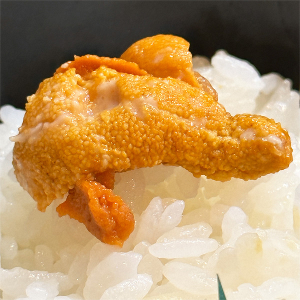 05とっても甘いうにでした