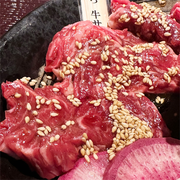 04にくとら牛サガリ