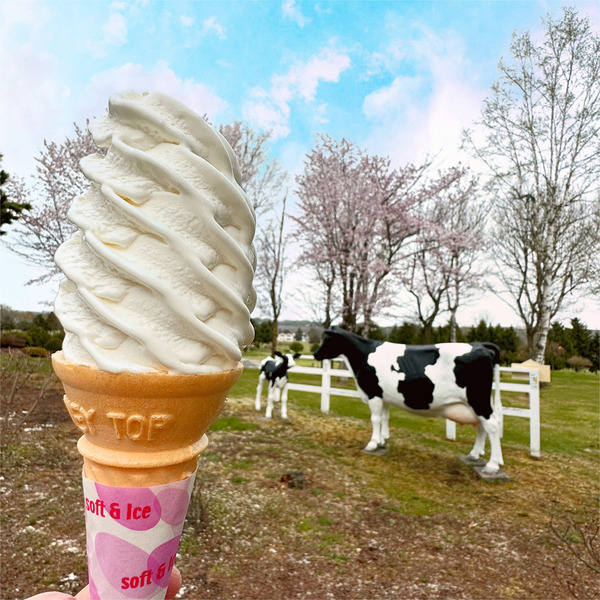 01カマンベールチーズソフト(350円)