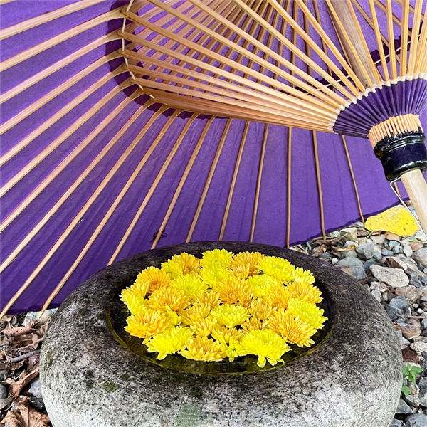 09桂に木のつくばい_2