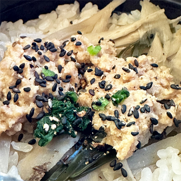 15ゴボウと肉味噌のご飯