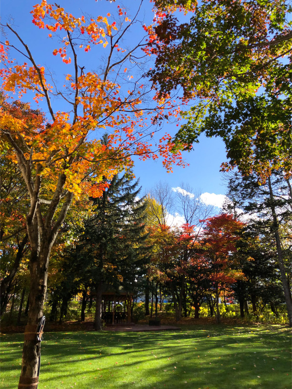 27ガーデンに出てちょっと散策2