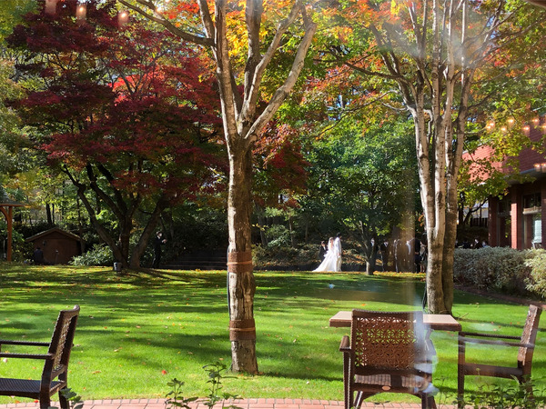 20ちょうど結婚式の記念撮影をガーデンでやってましたね♪