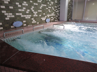 981b8072.jpg