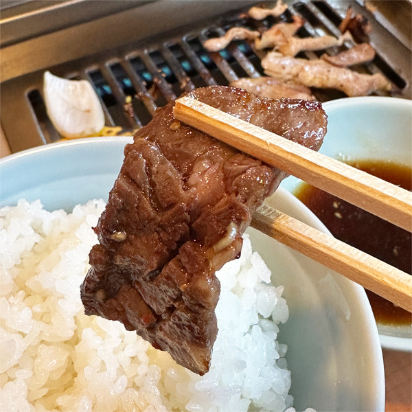 06十勝サガリ・国産・タレ