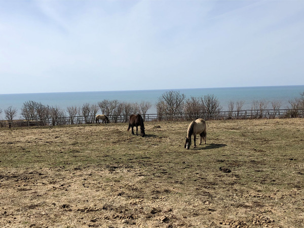 21ナビ通りに行ったら間違えた(;・∀・)