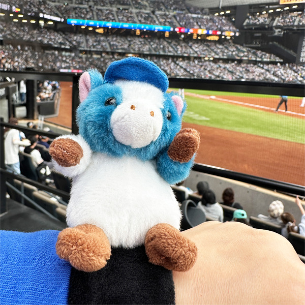 03新しい応援グッズ