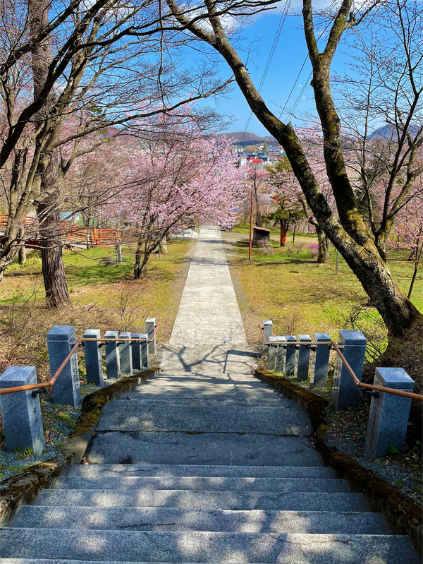02新得神社桜