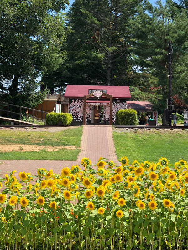03幸福駅と向日葵