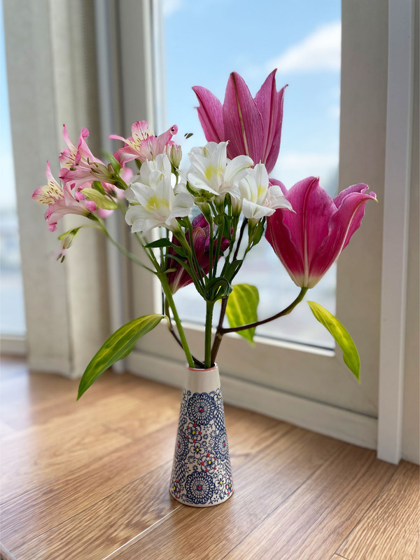 お祝いのお花をお裾分けして頂きました