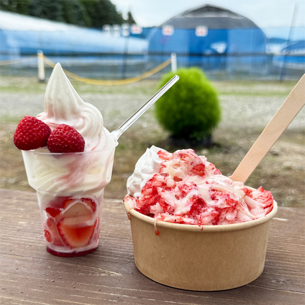 01デザートタイム