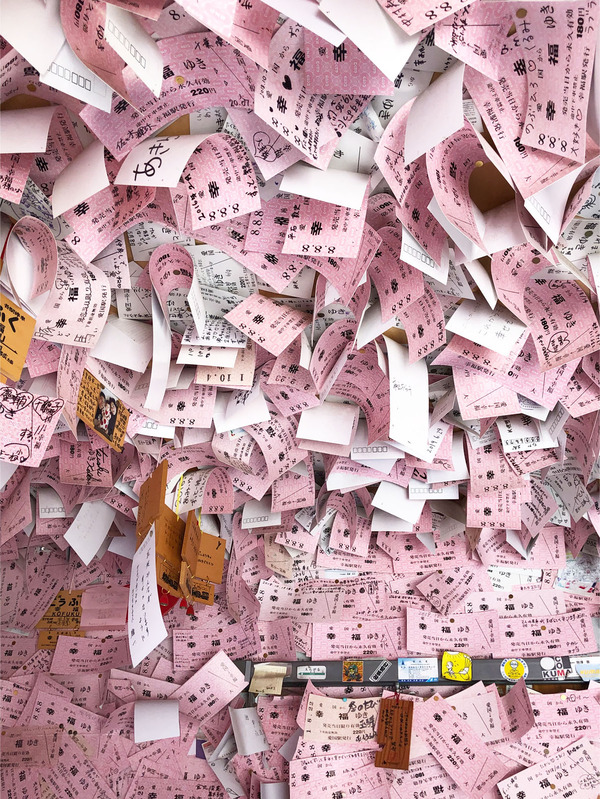 12中はすごいです！