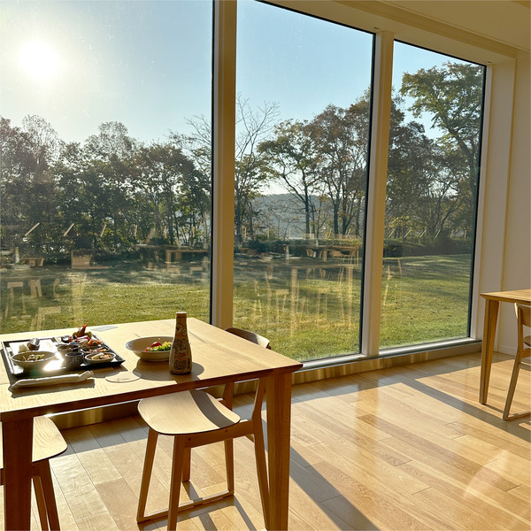 21秋の低い太陽が眩しすぎます 笑