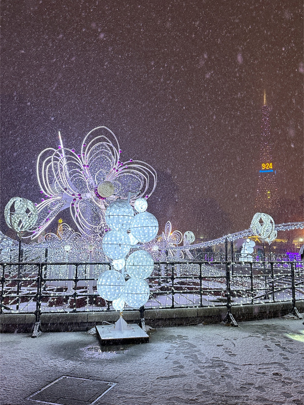 37イルミネーション1