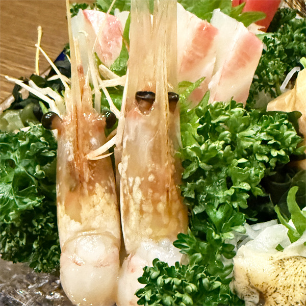 03鯛・牡丹海老