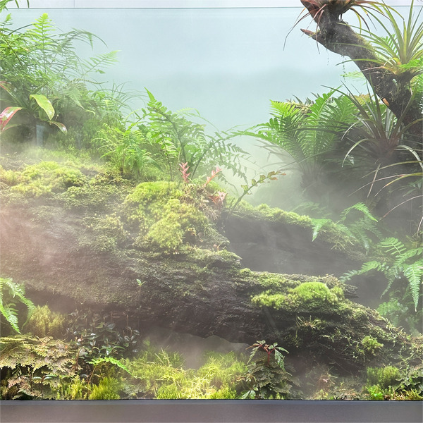 12キレイな水槽2