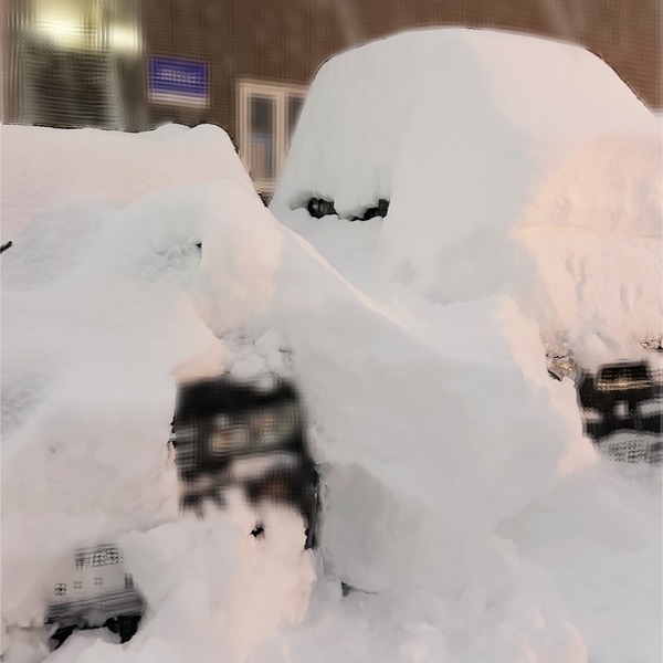 19ドカ雪