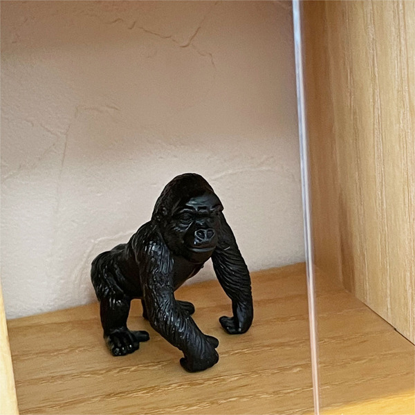 12ここにもゴリラ